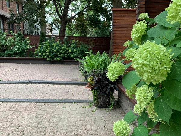 Pembroke Inn image 11